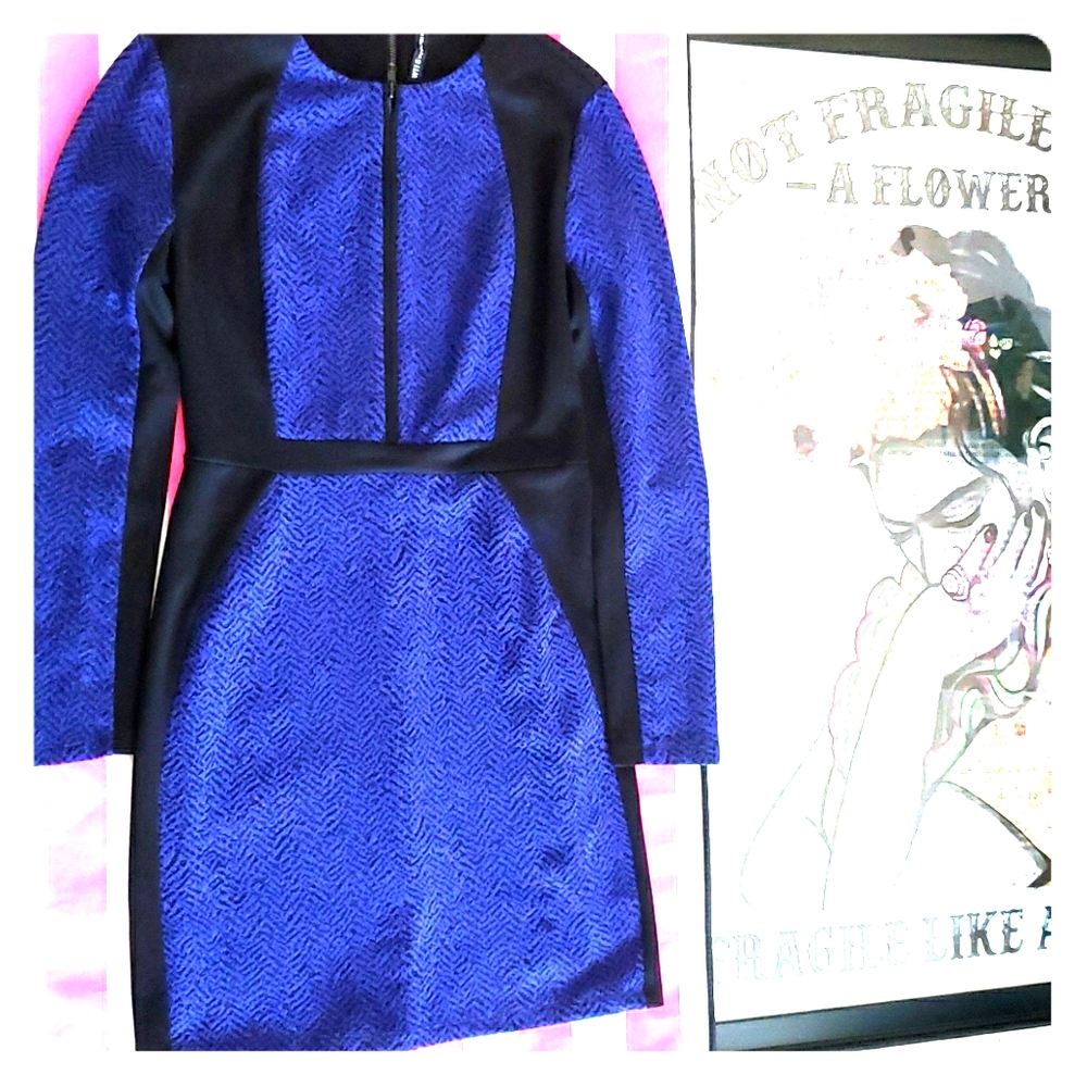 W118 by Walter Baker Long Sleeve colorblock dress